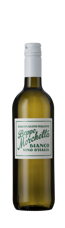 Bottle shot - Beppe Morchetta, Bianco, Veneto, Italy