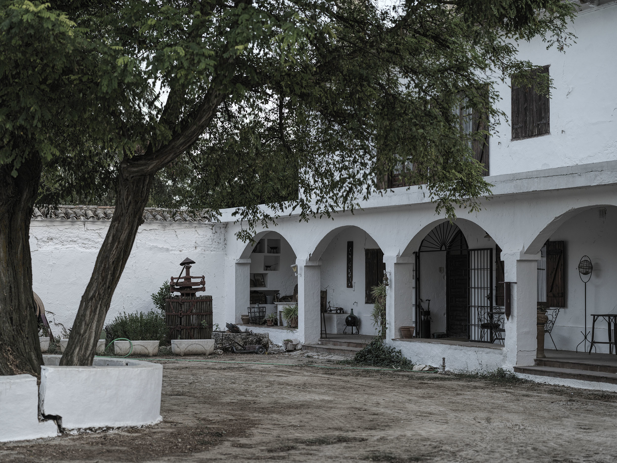 Bodegas y Viñedos Tinedo