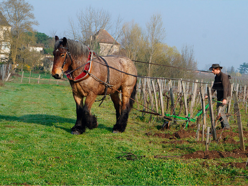 Olivier Cazenave et Château