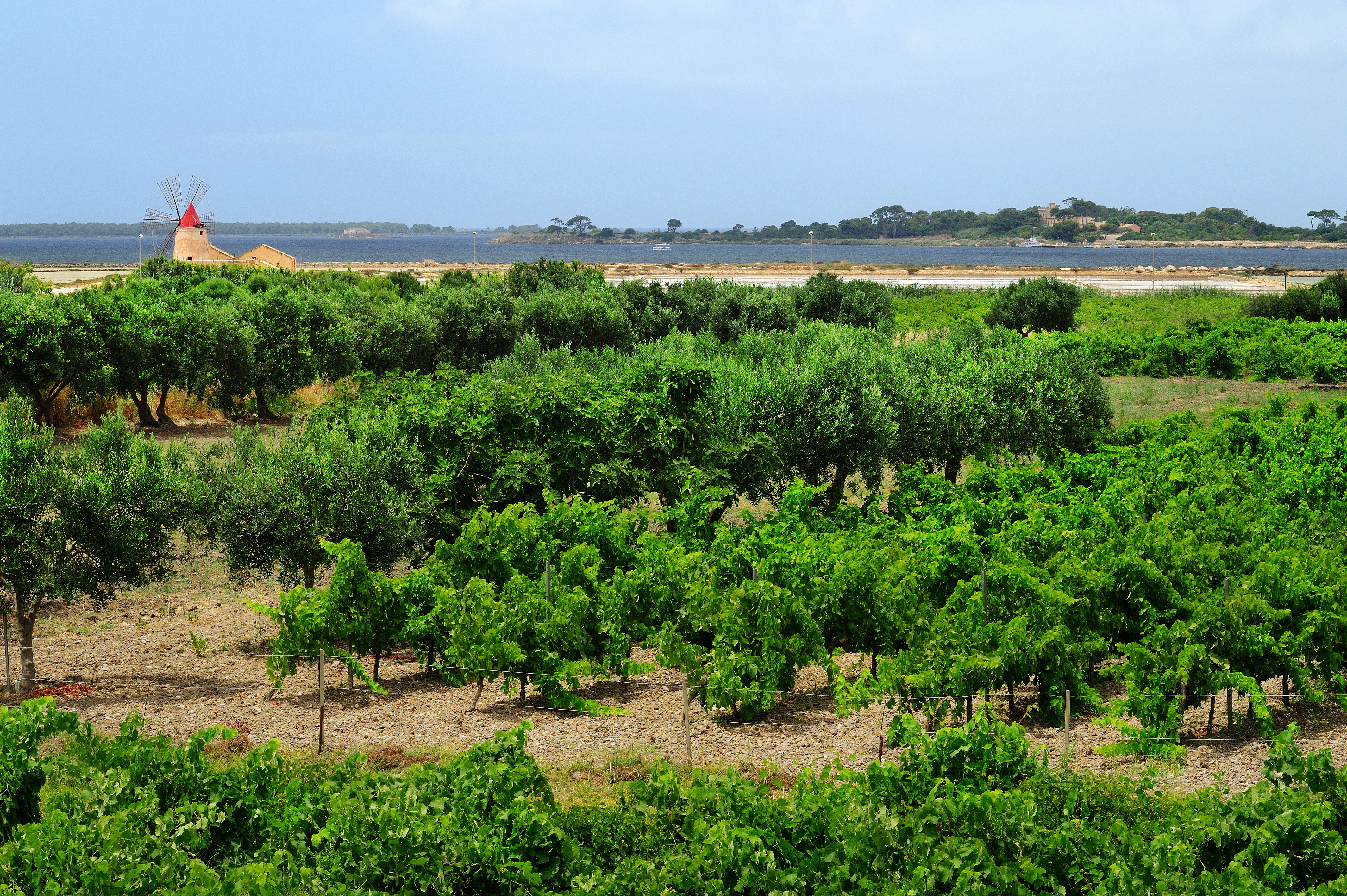 Rallo Azienda Agricola