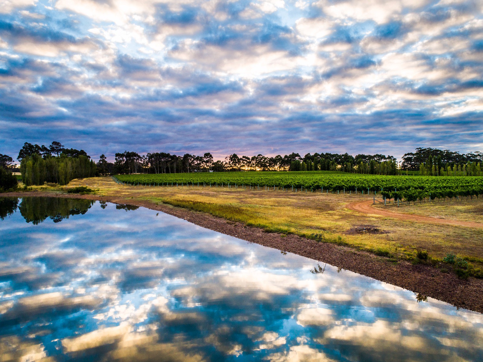 STELLA BELLA WINES, Australia