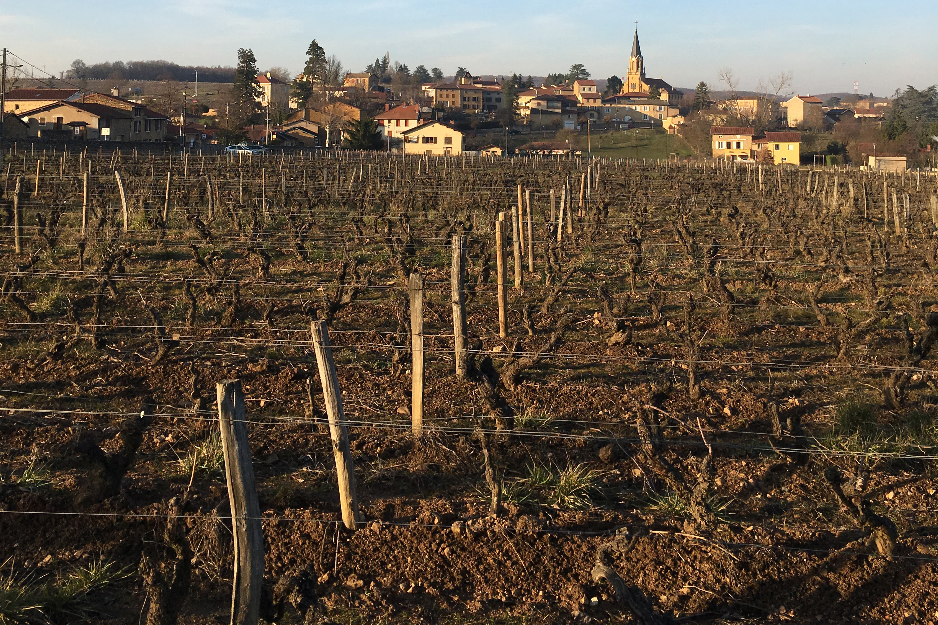 Domaine de la Couvette