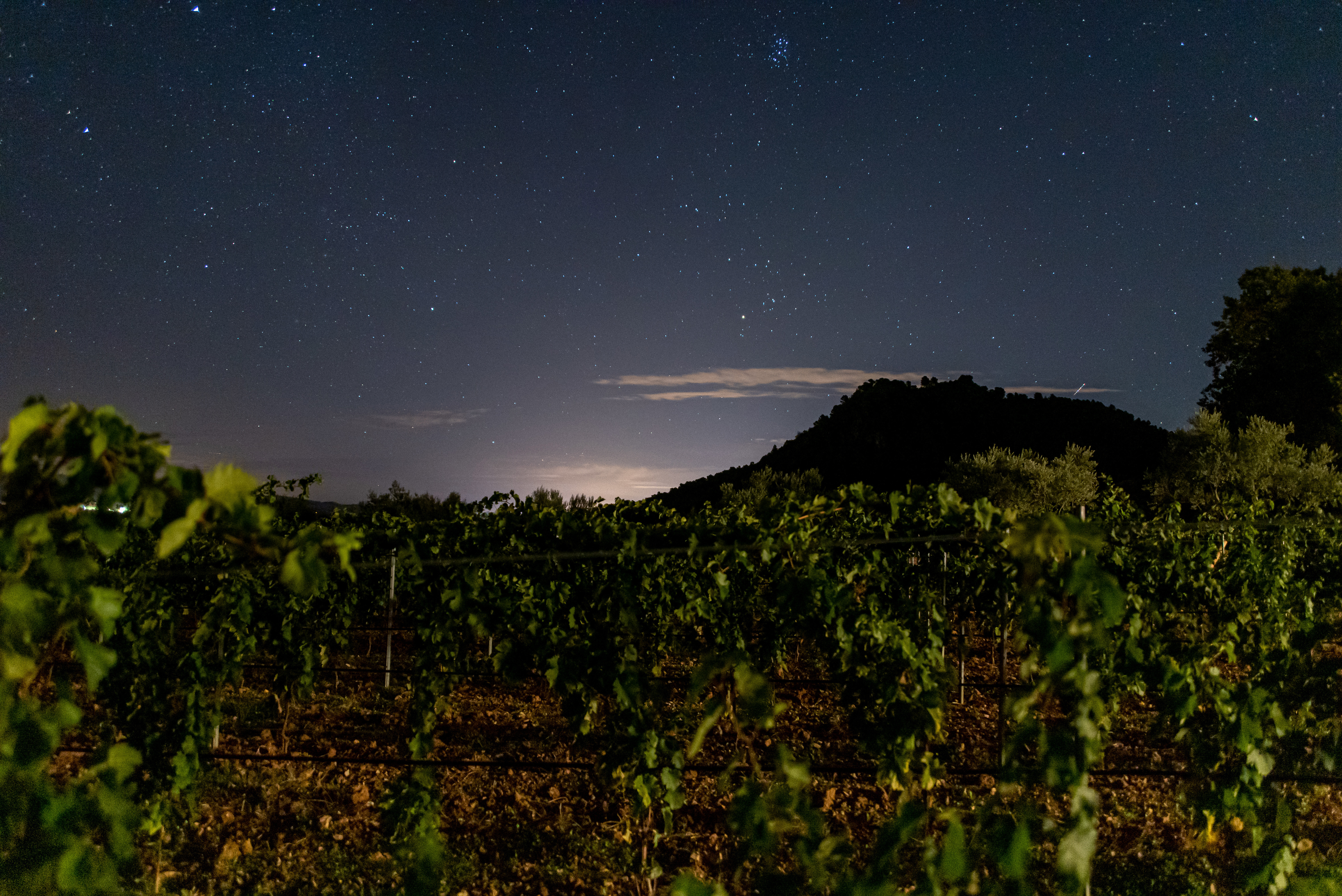 Château L’ Escarelle