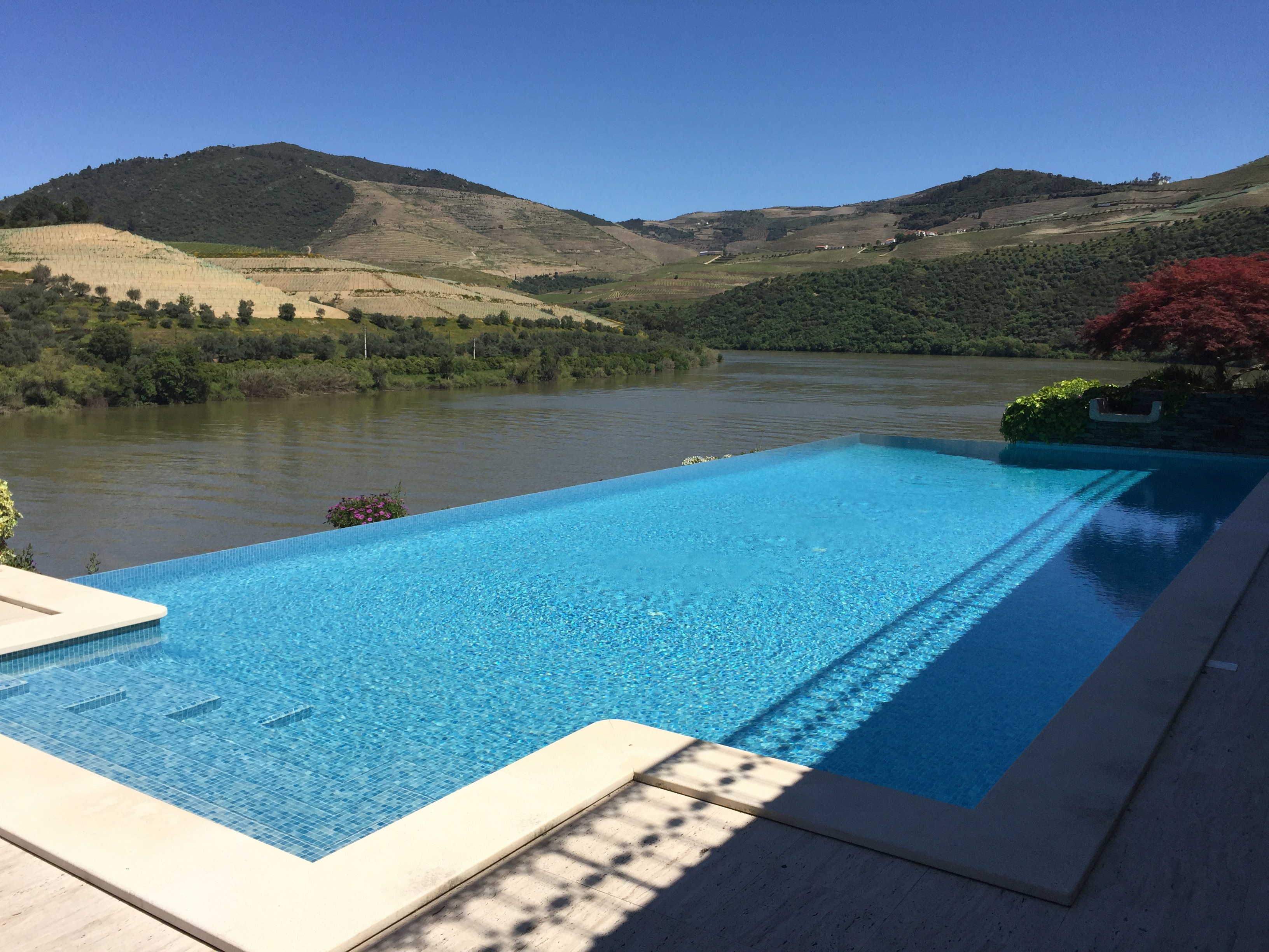 Real Companhia Velha