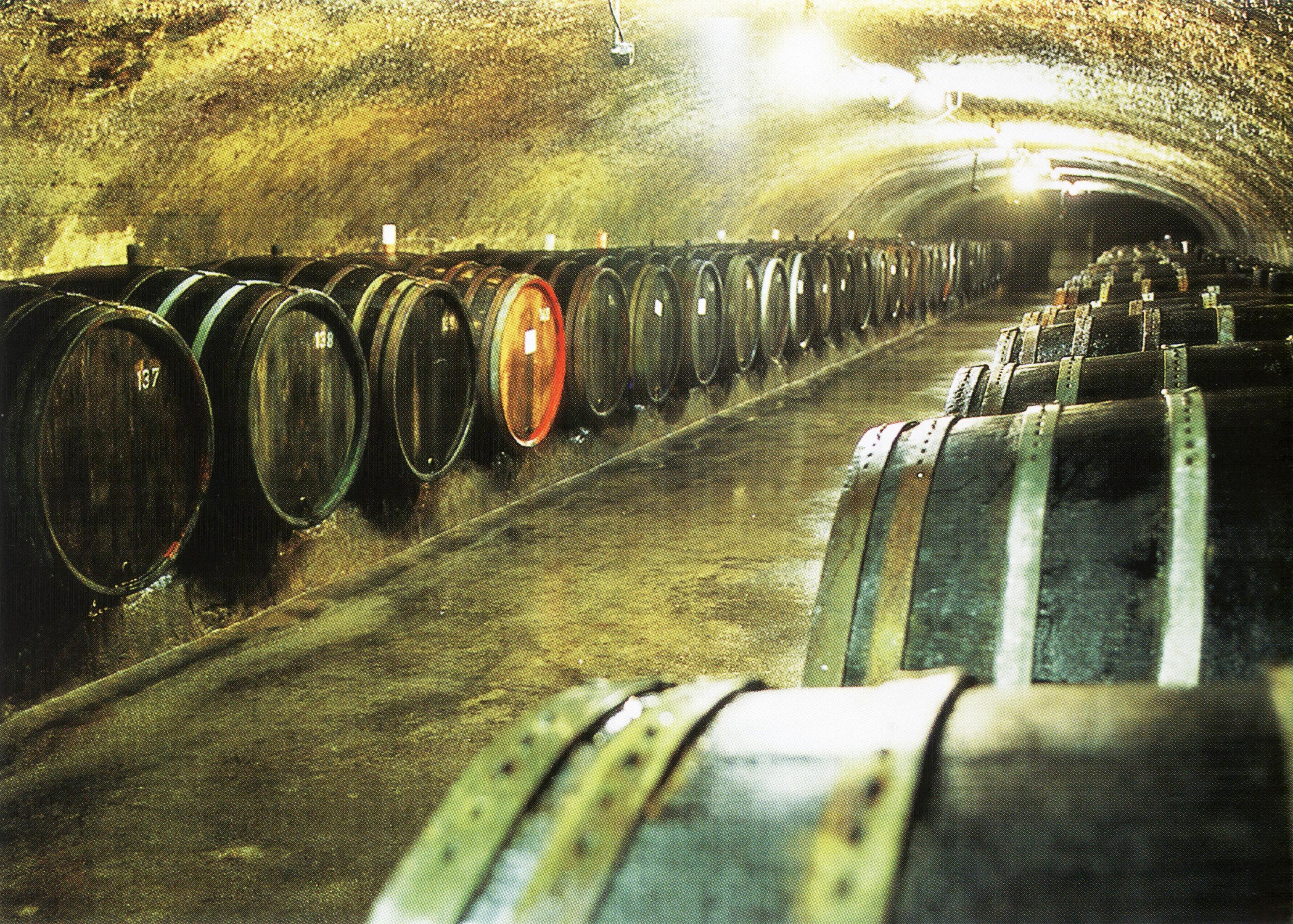 Weingut Max Ferdinand Richter