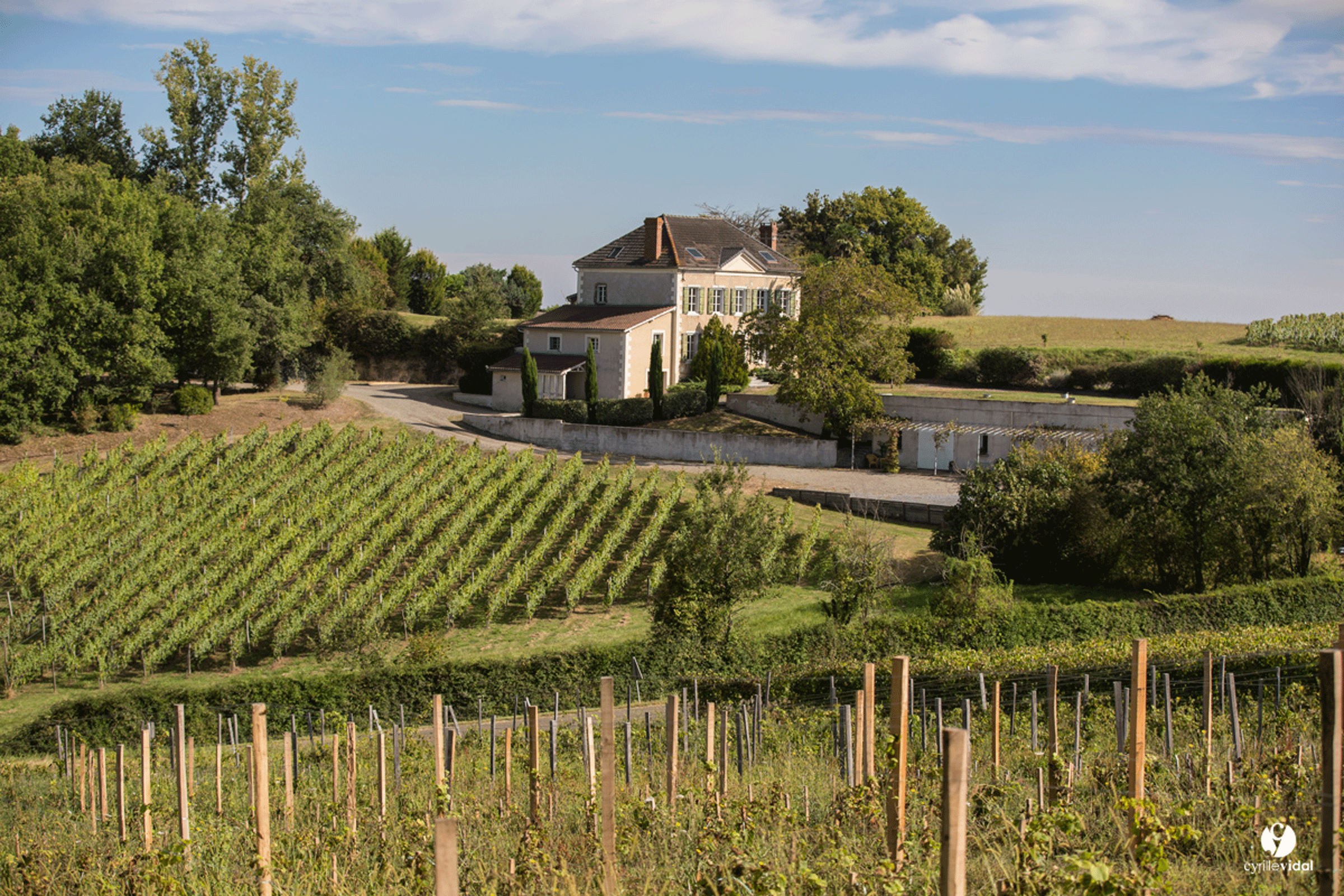 Domaine Capmartin