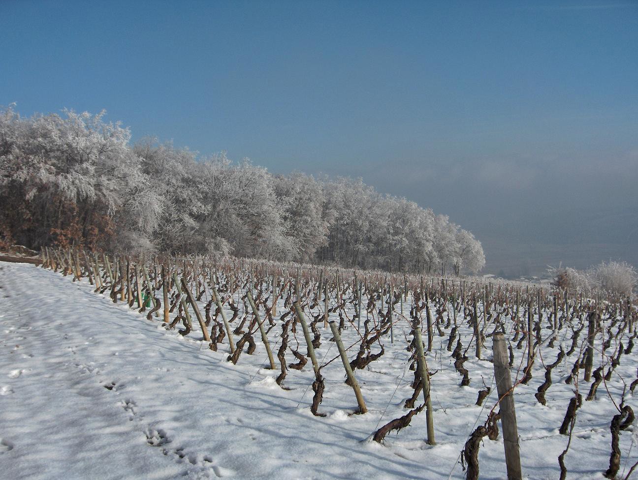 Domaine de Fussiacus