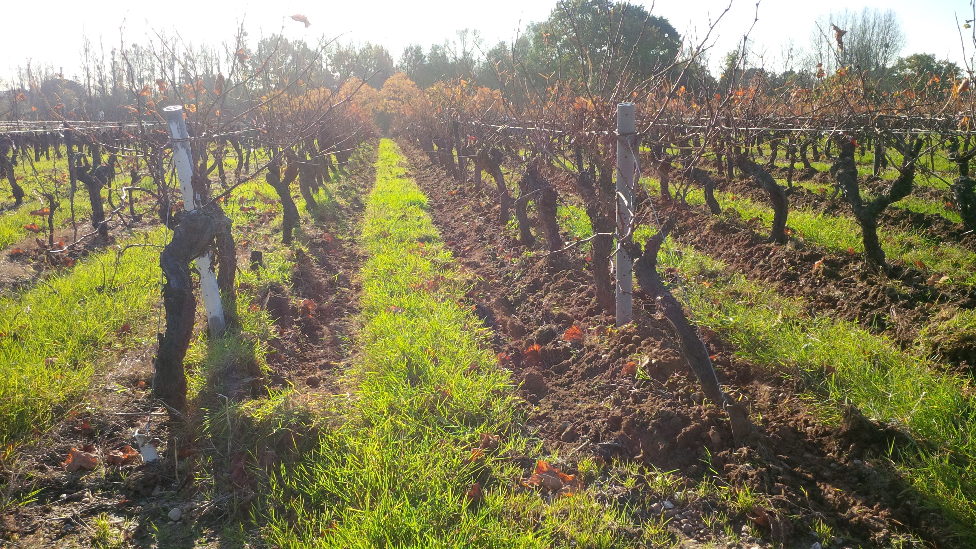 Domaine des Herbauges