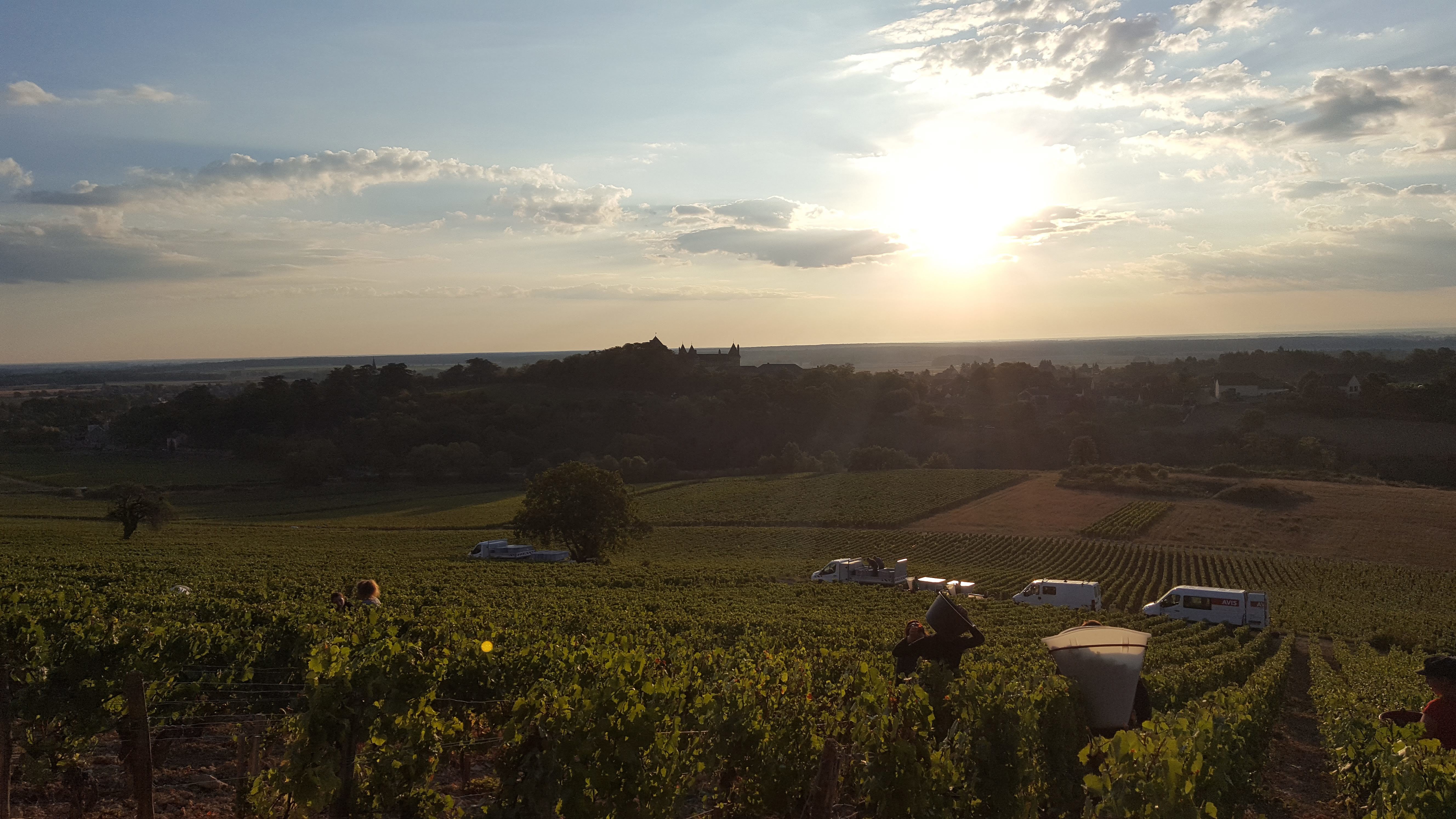 Domaine Jaeger-Defaix