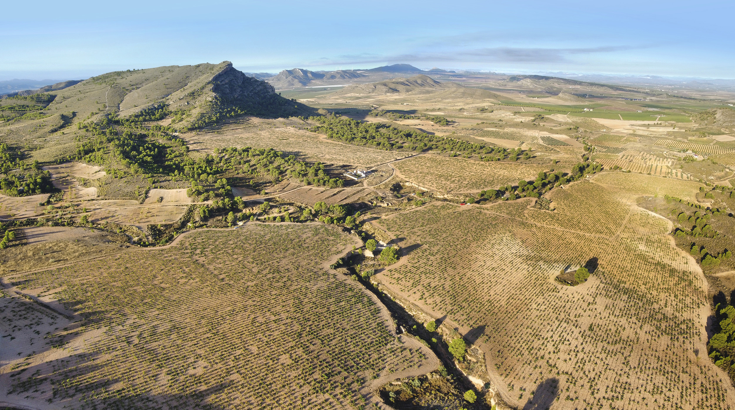 Bruma del Estrecho de Marin