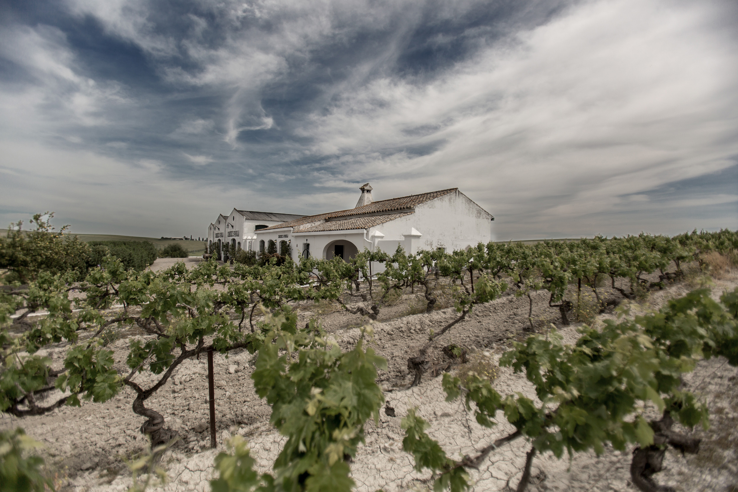 Bodegas Ximénez-Spínola