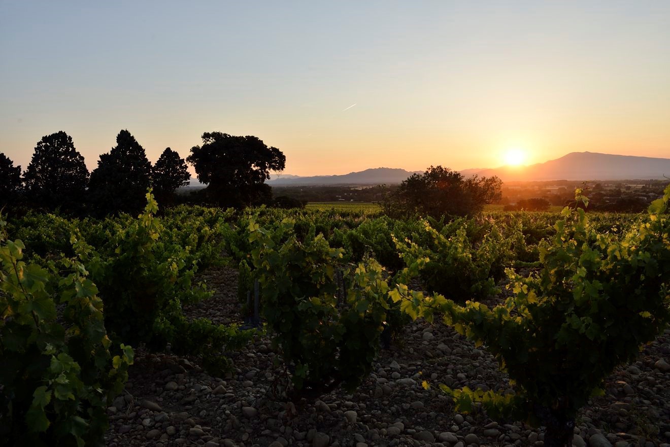 GUILLAUME GONNET, France