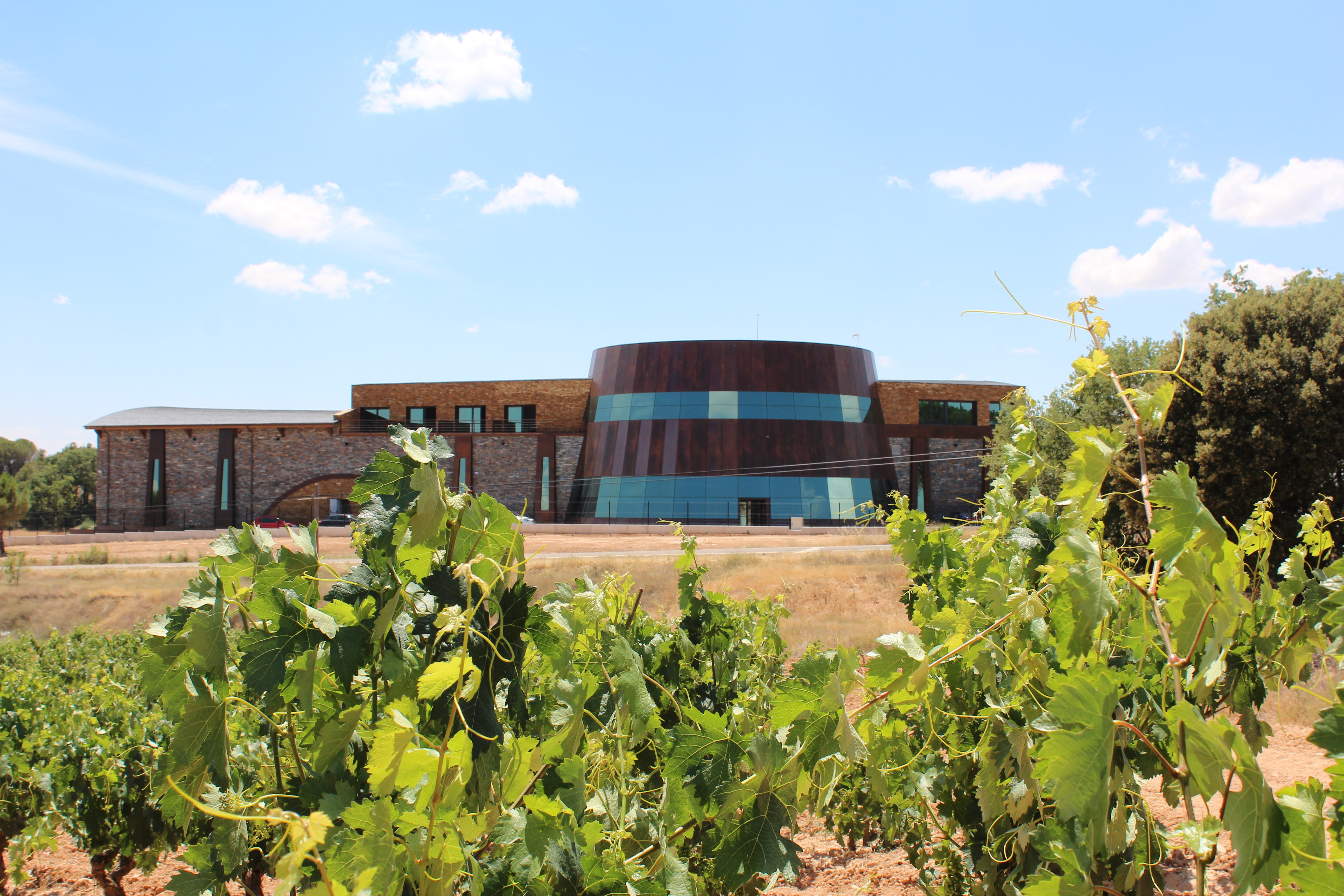 Bodegas Dominio de Cair