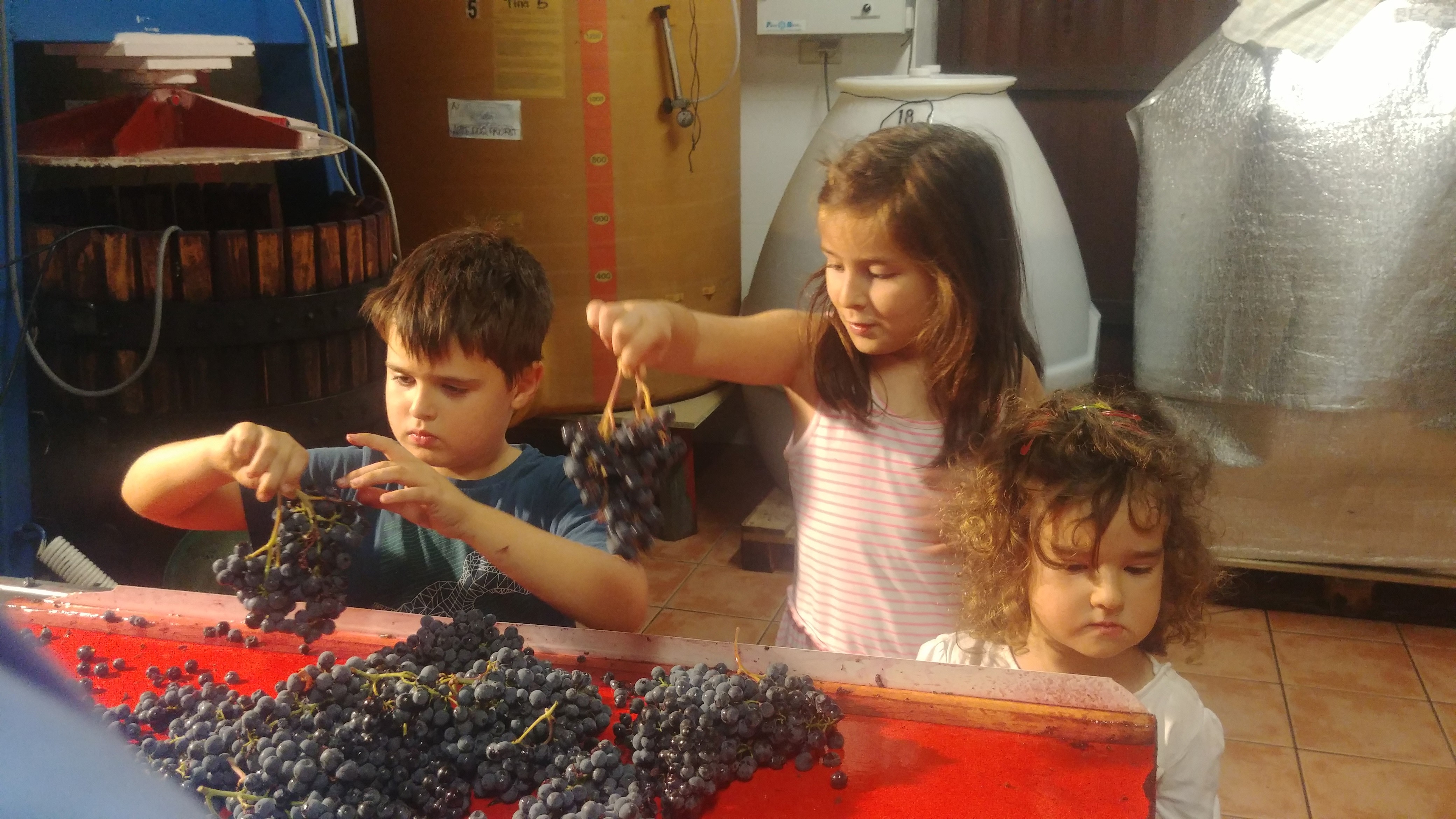 Cal Batllet-Marc Ripoll