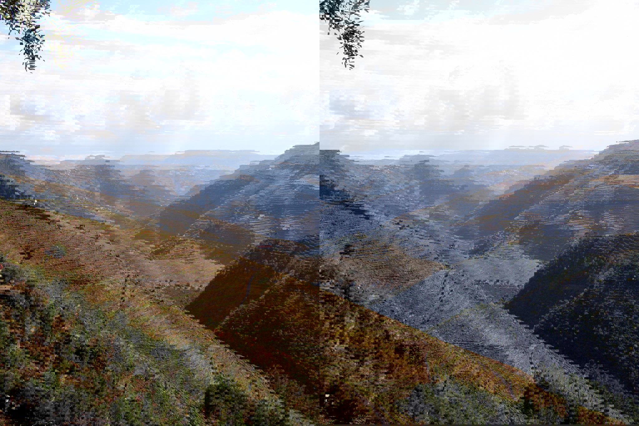 Quinta da Costa do Pinhão