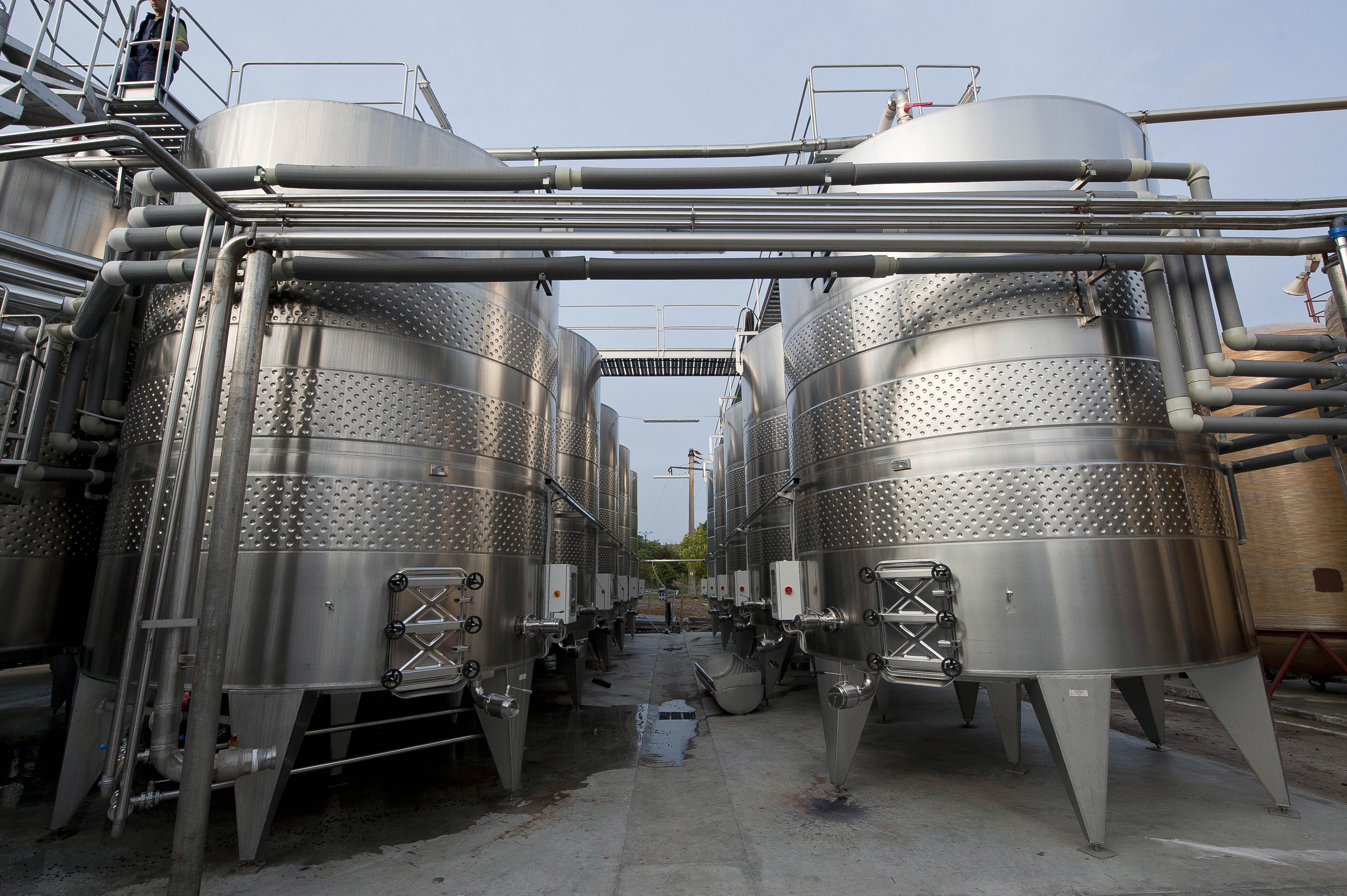 CRAMELE RECAS, Romania