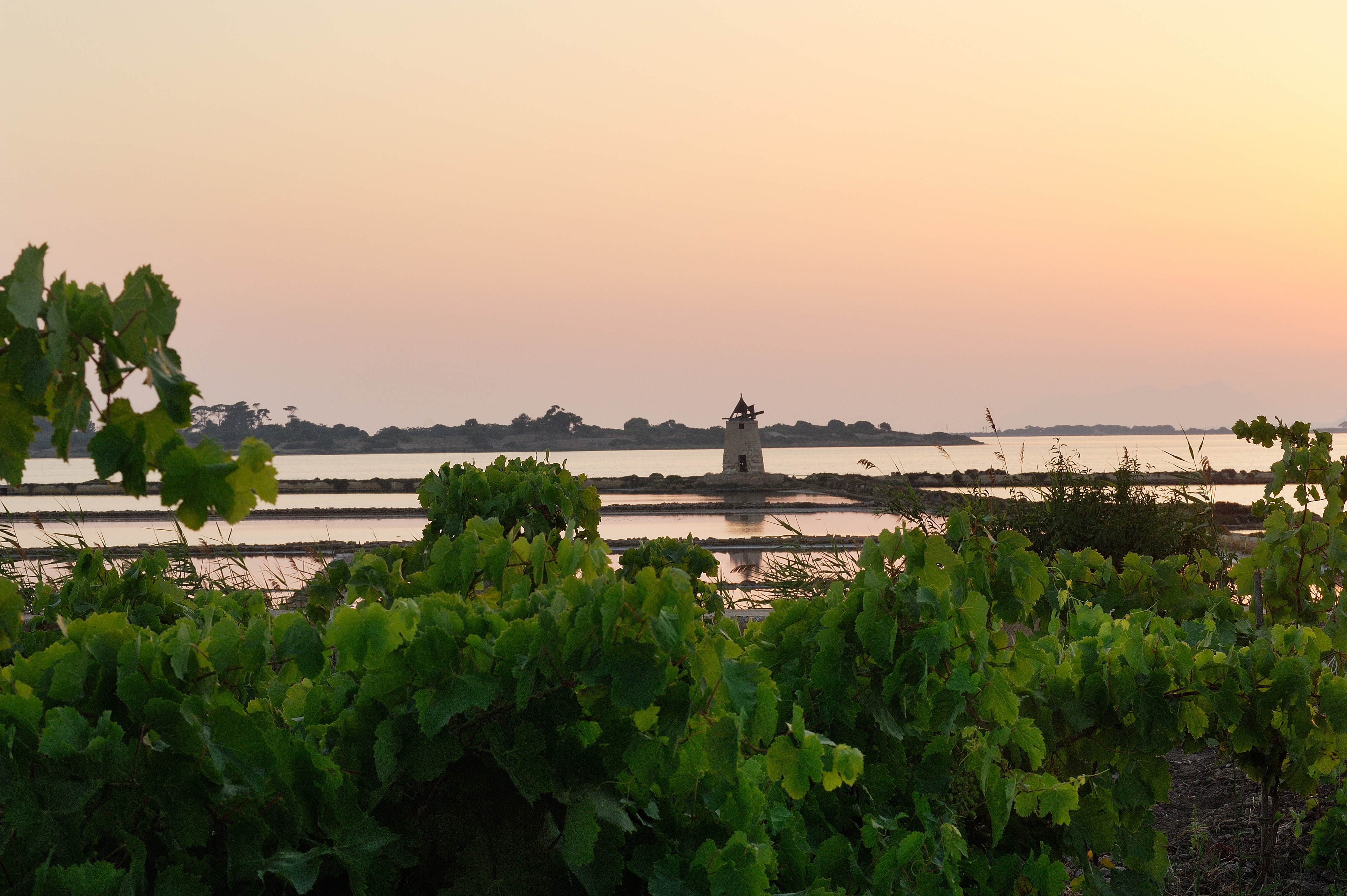 Rallo Azienda Agricola