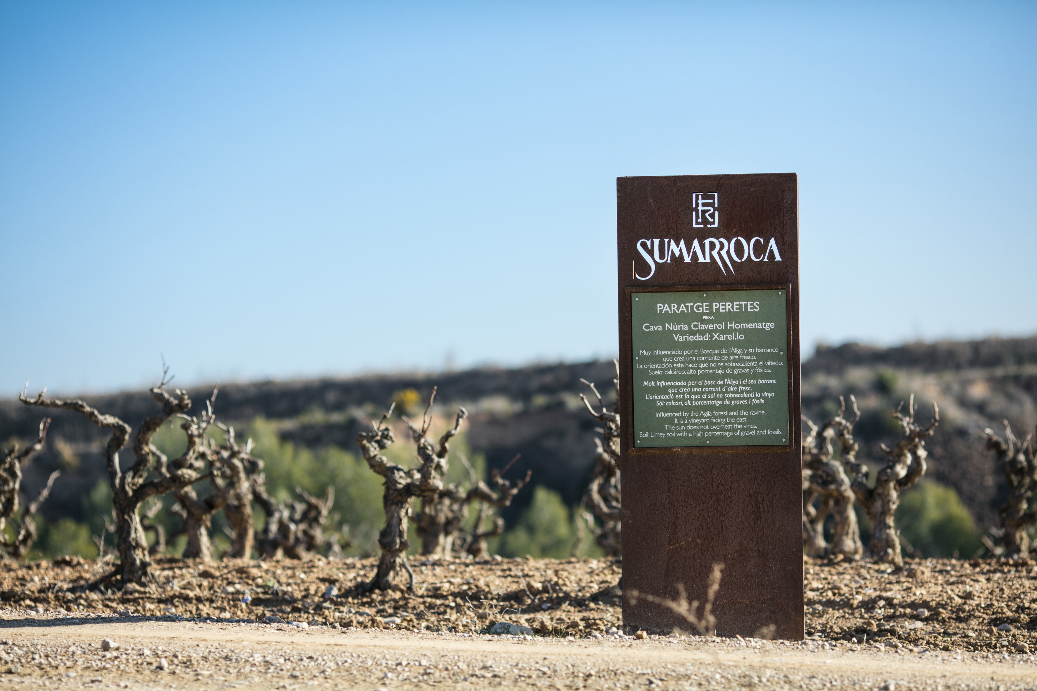 Bodegas Sumarroca