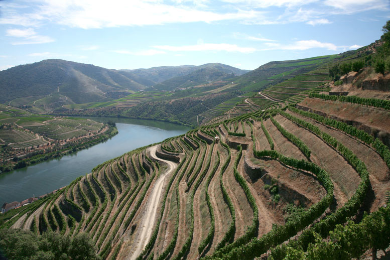 Real Companhia Velha