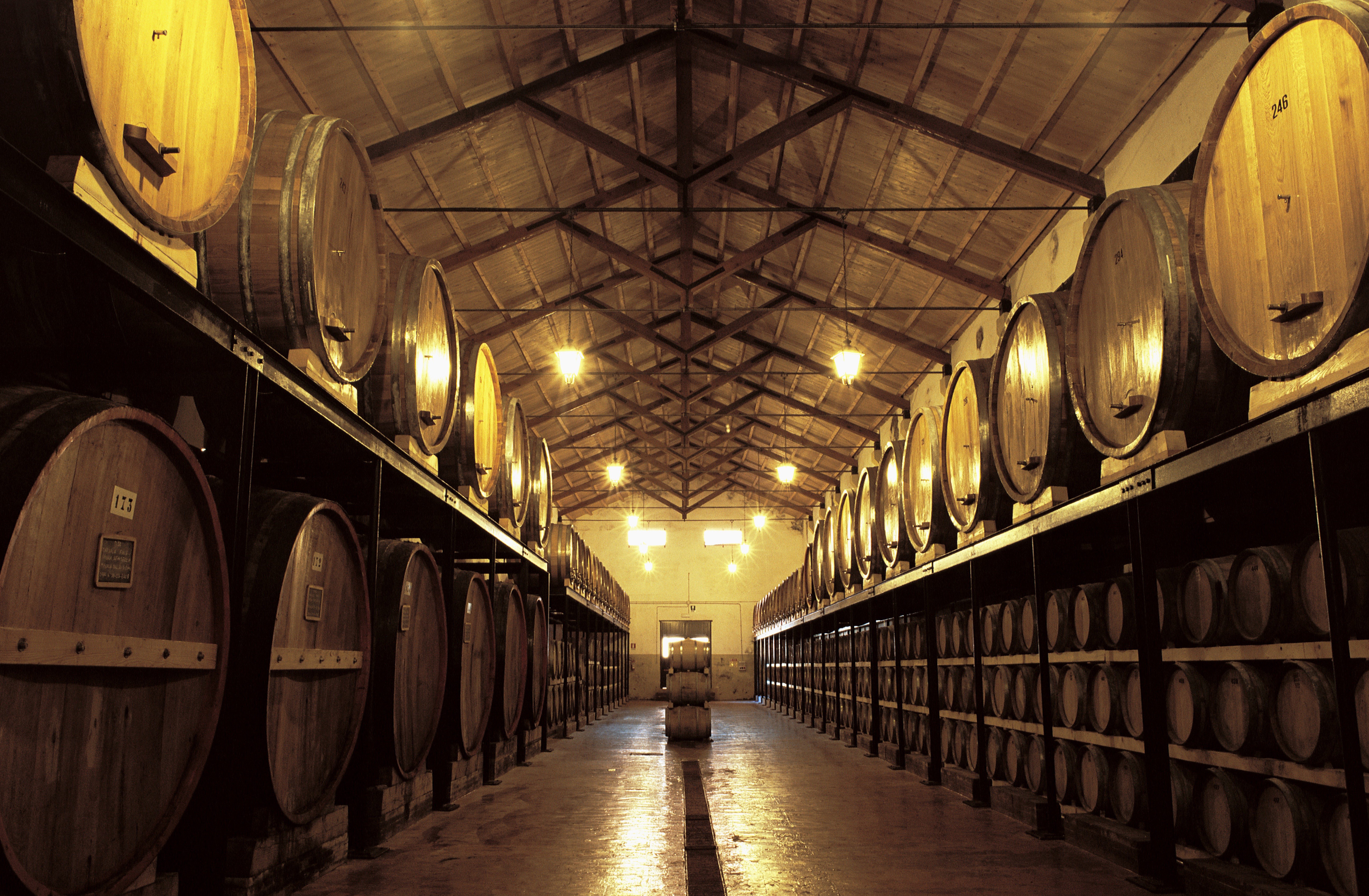 Rallo Azienda Agricola