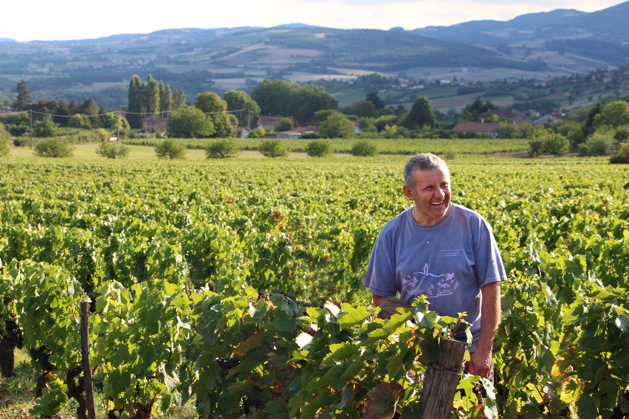 Domaine de la Couvette
