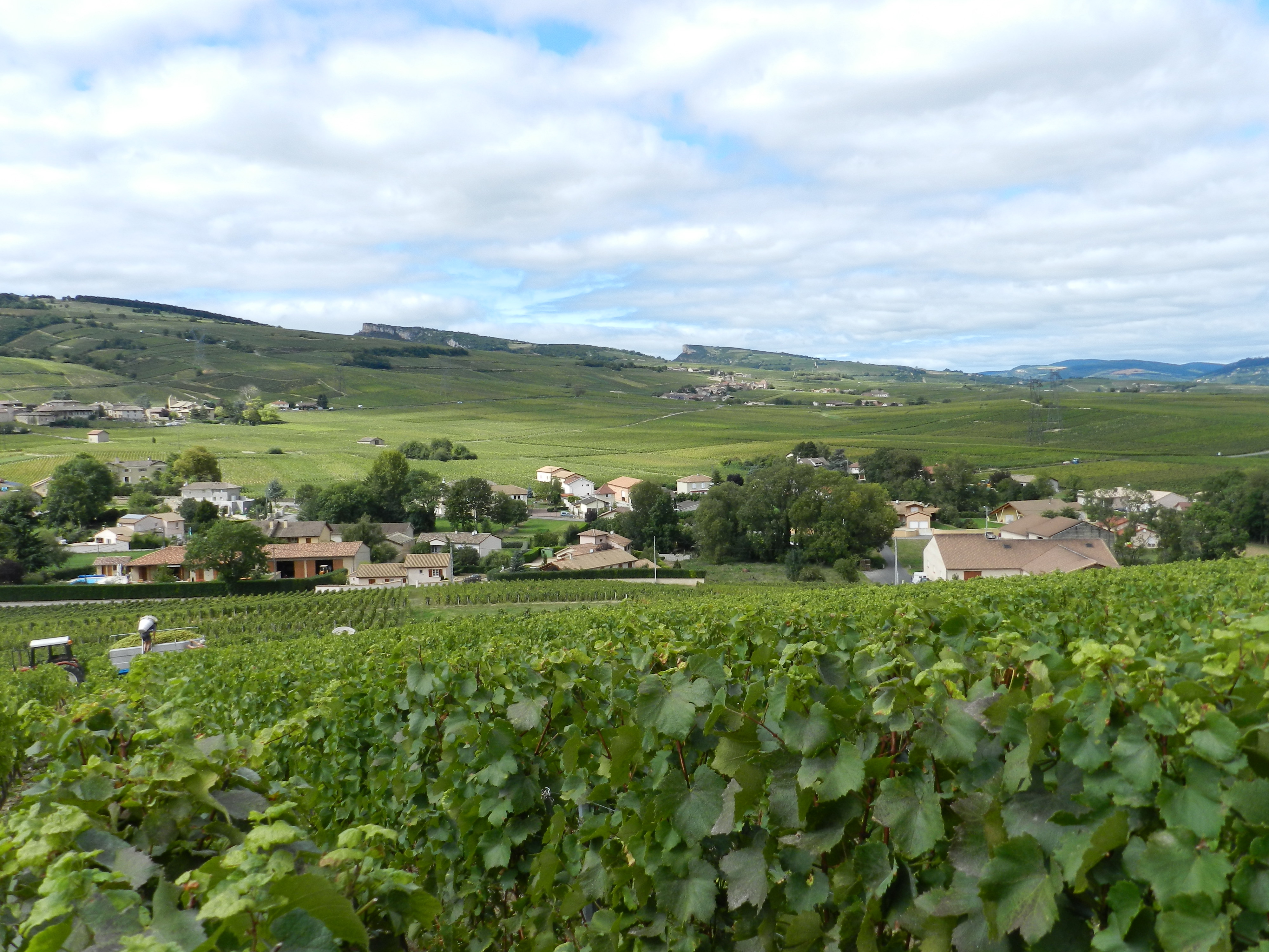 Domaine Les Vieux Murs