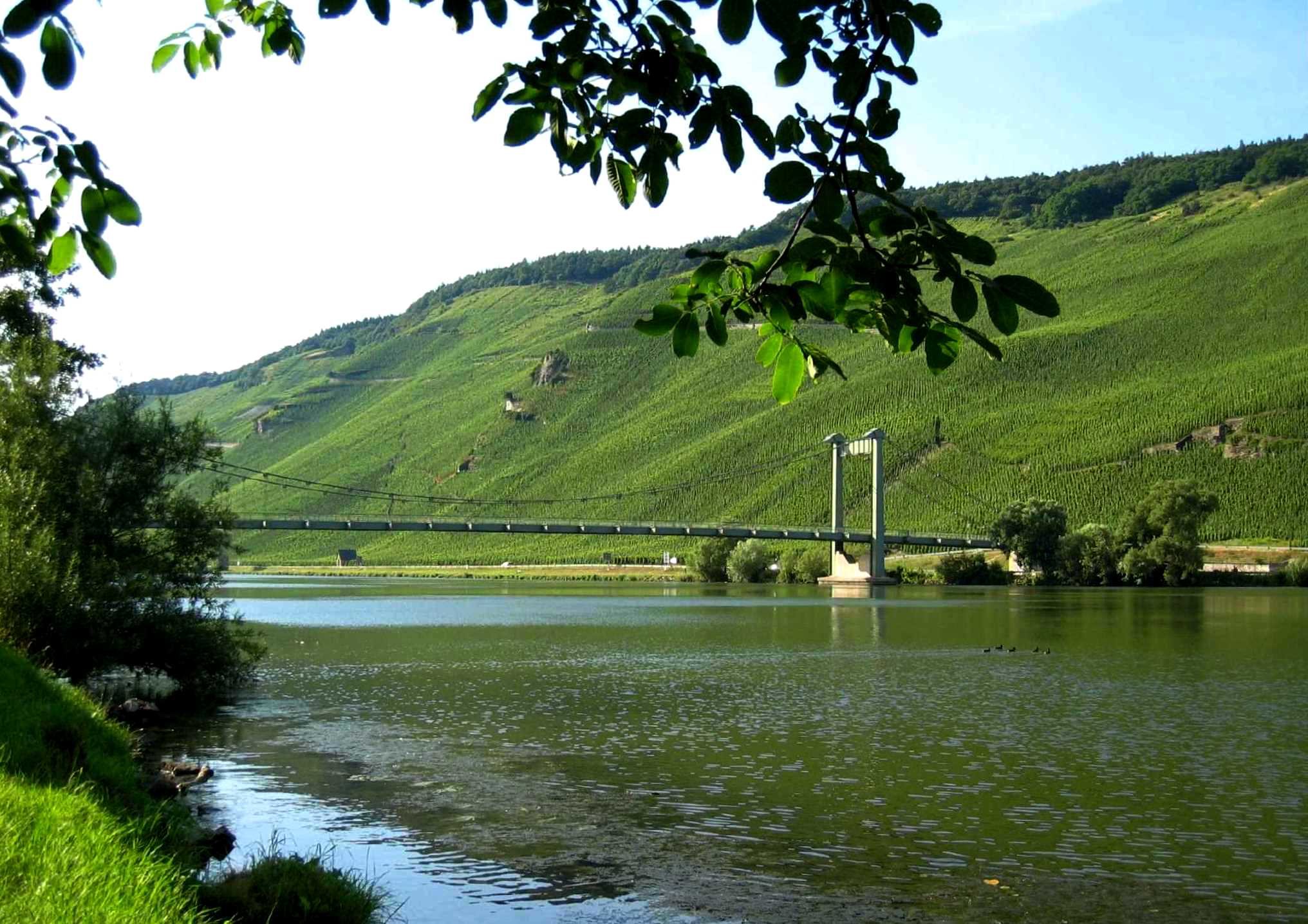Weingut Max Ferdinand Richter