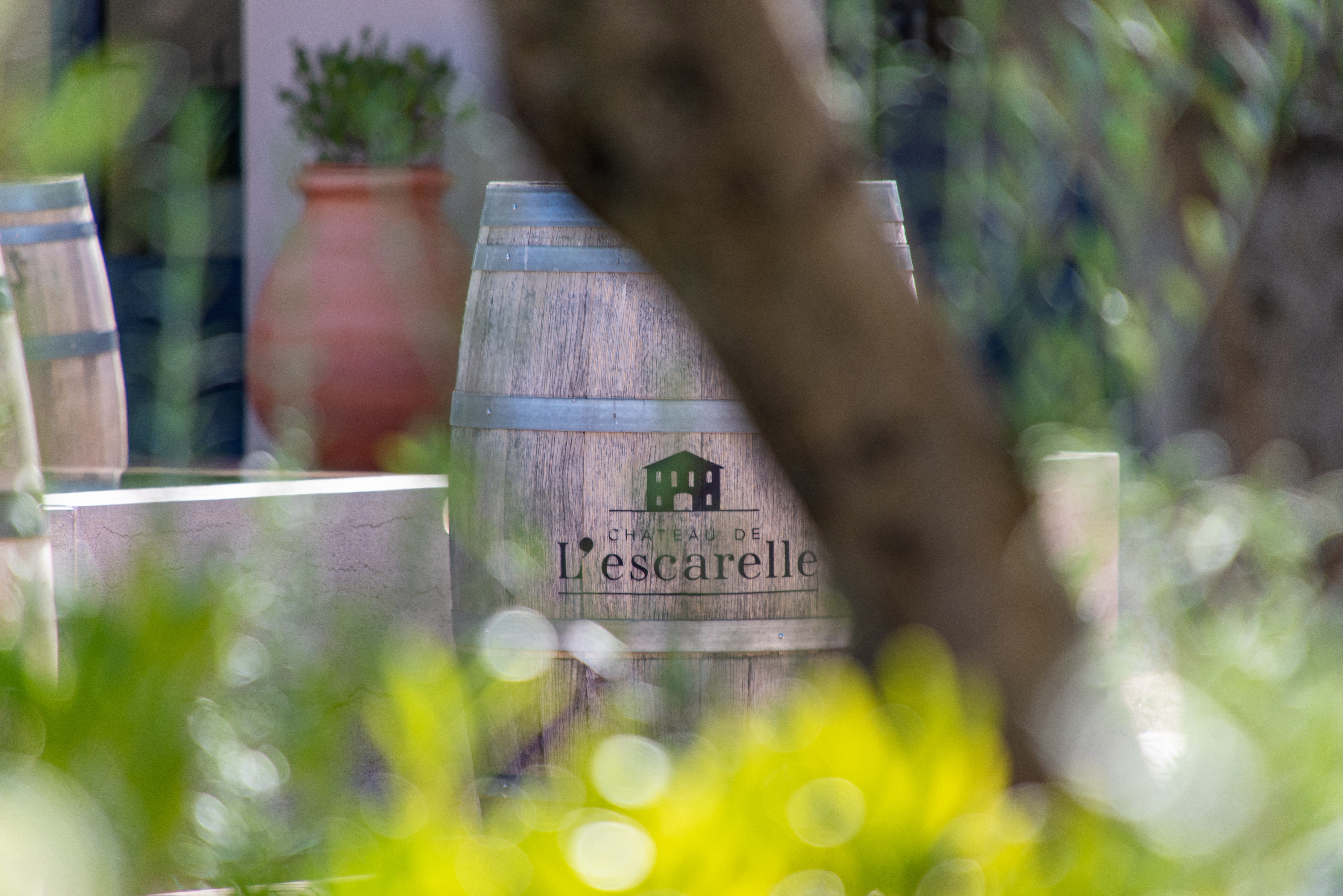 Château L’ Escarelle