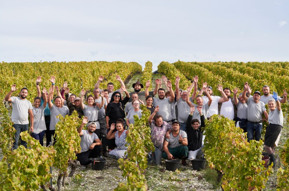 Château de Suduiraut