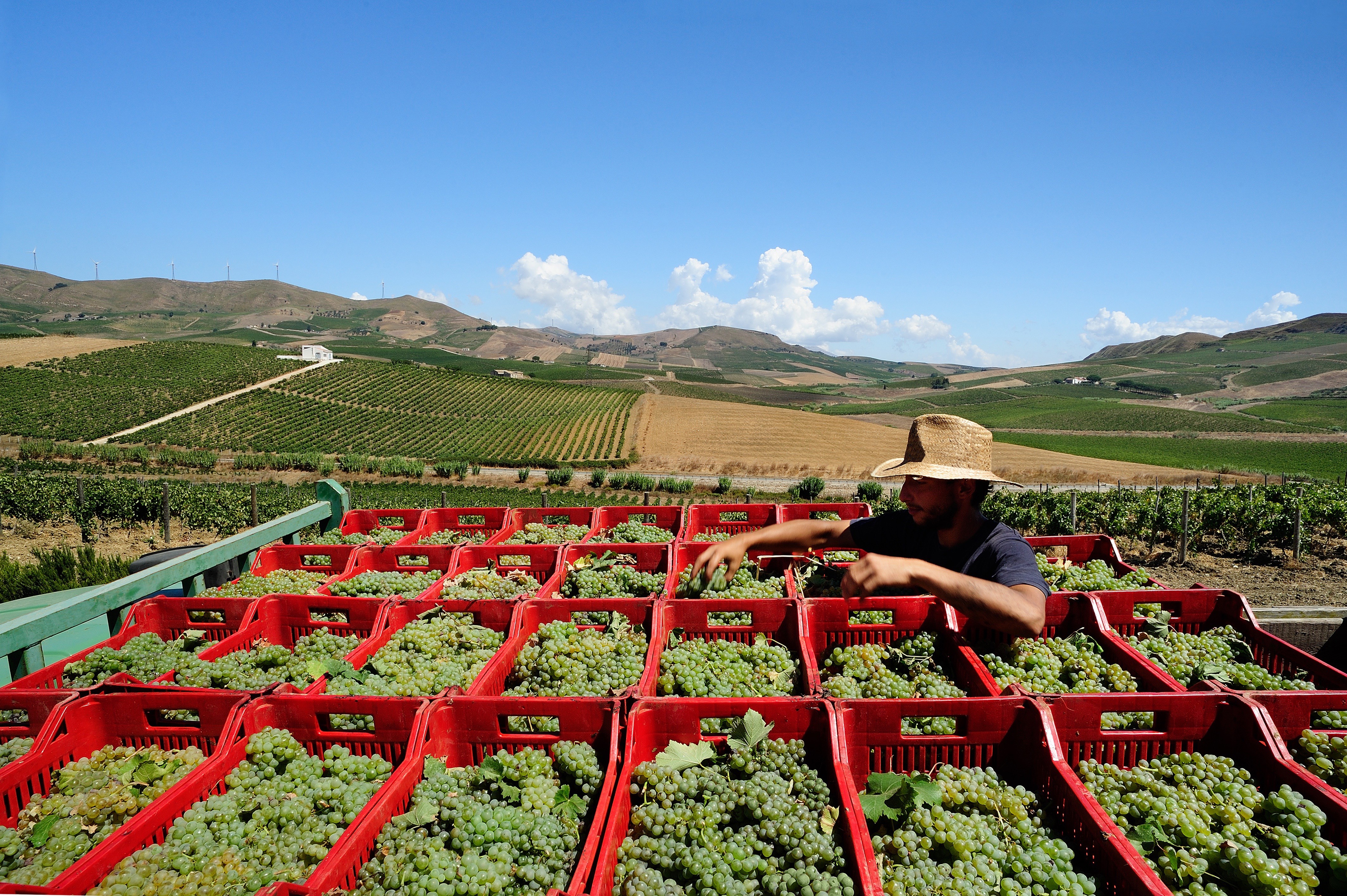 Rallo Azienda Agricola