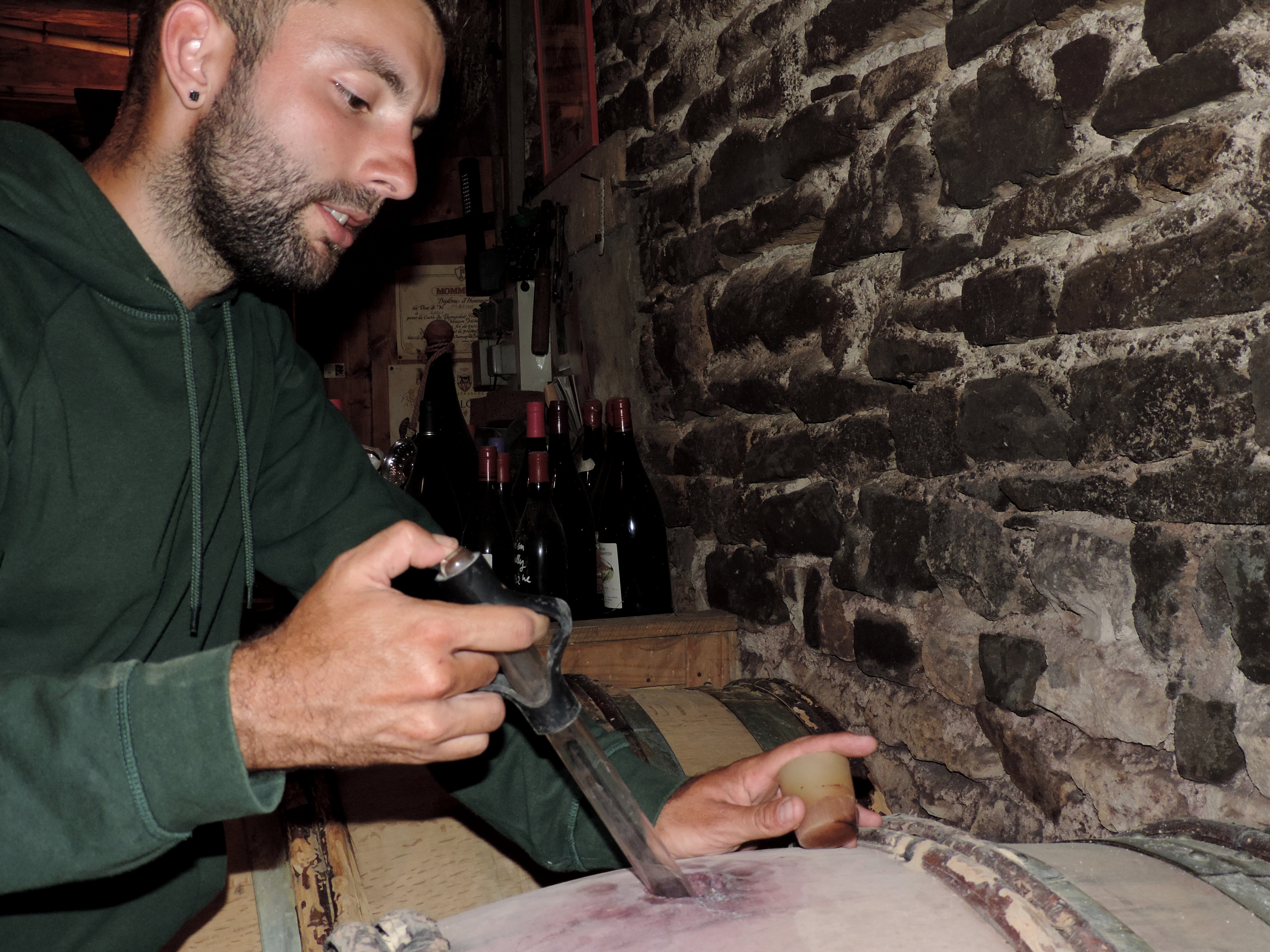 Domaine de la Couvette