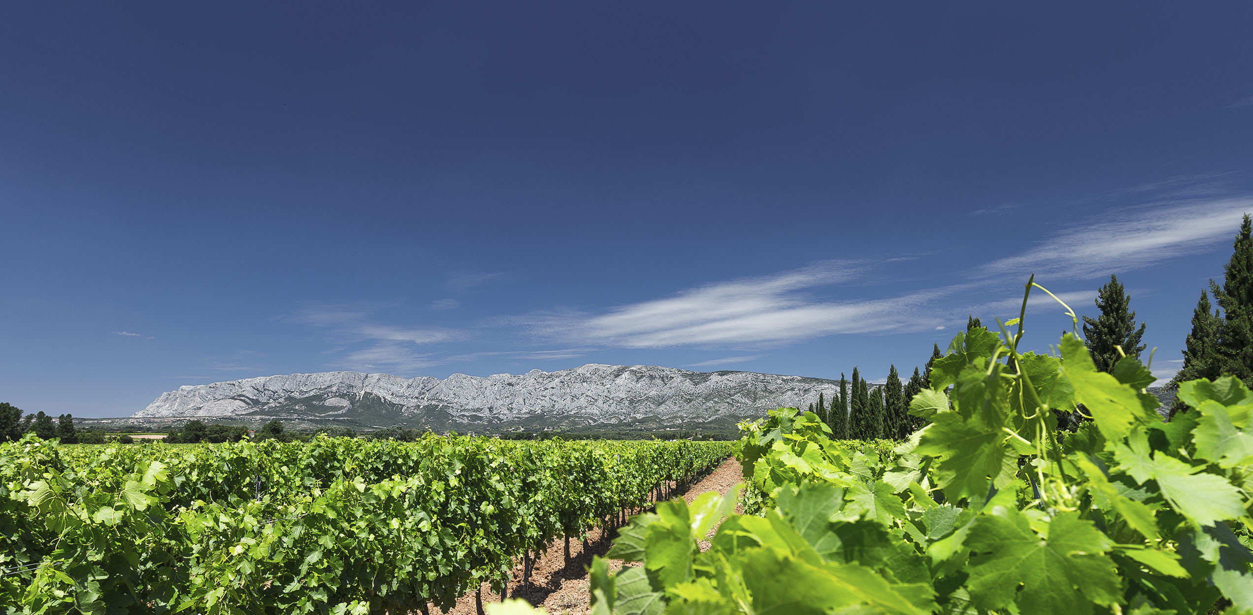 Domaine de la Grande Bauquière