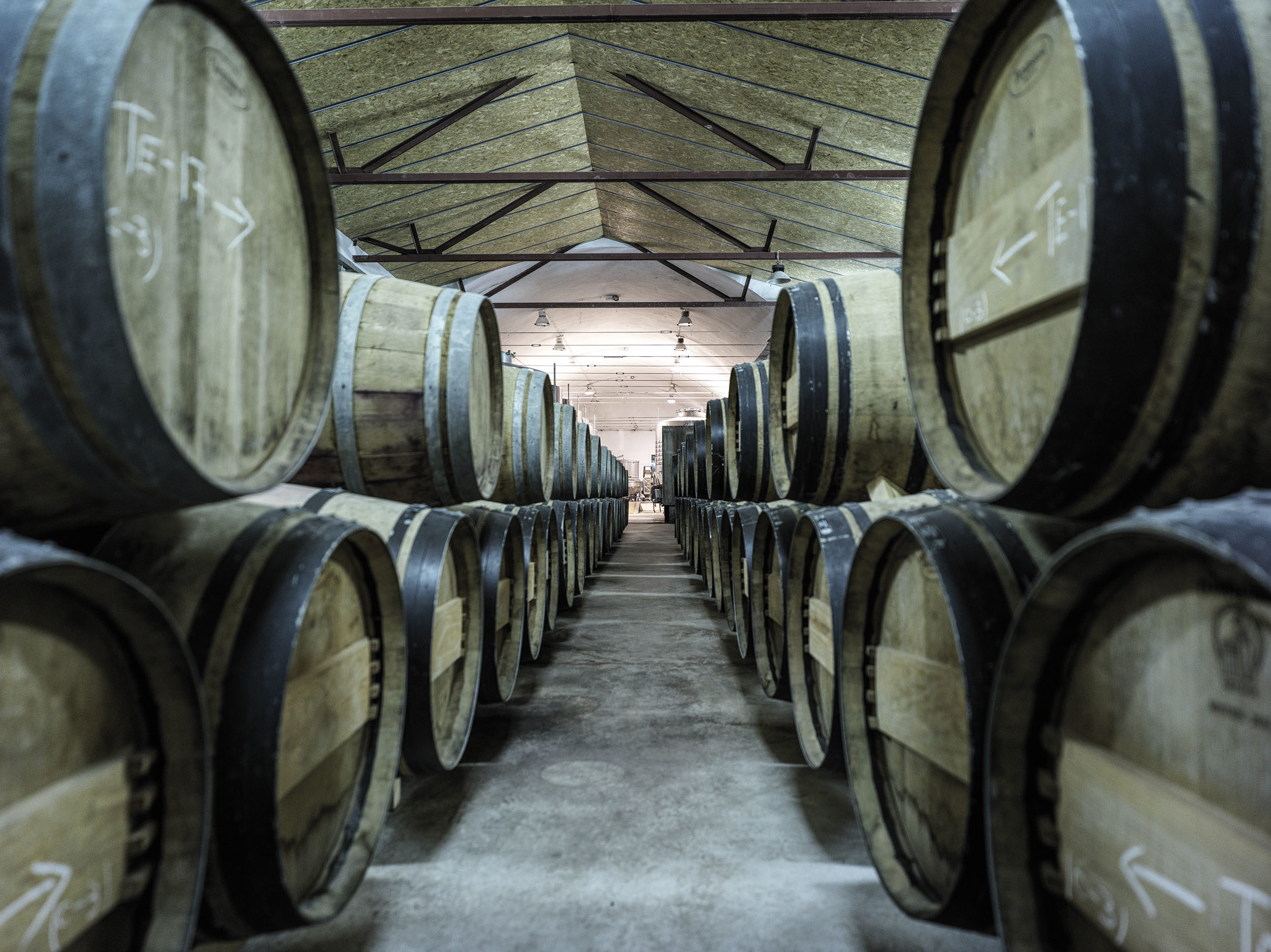 Bodegas y Viñedos Tinedo