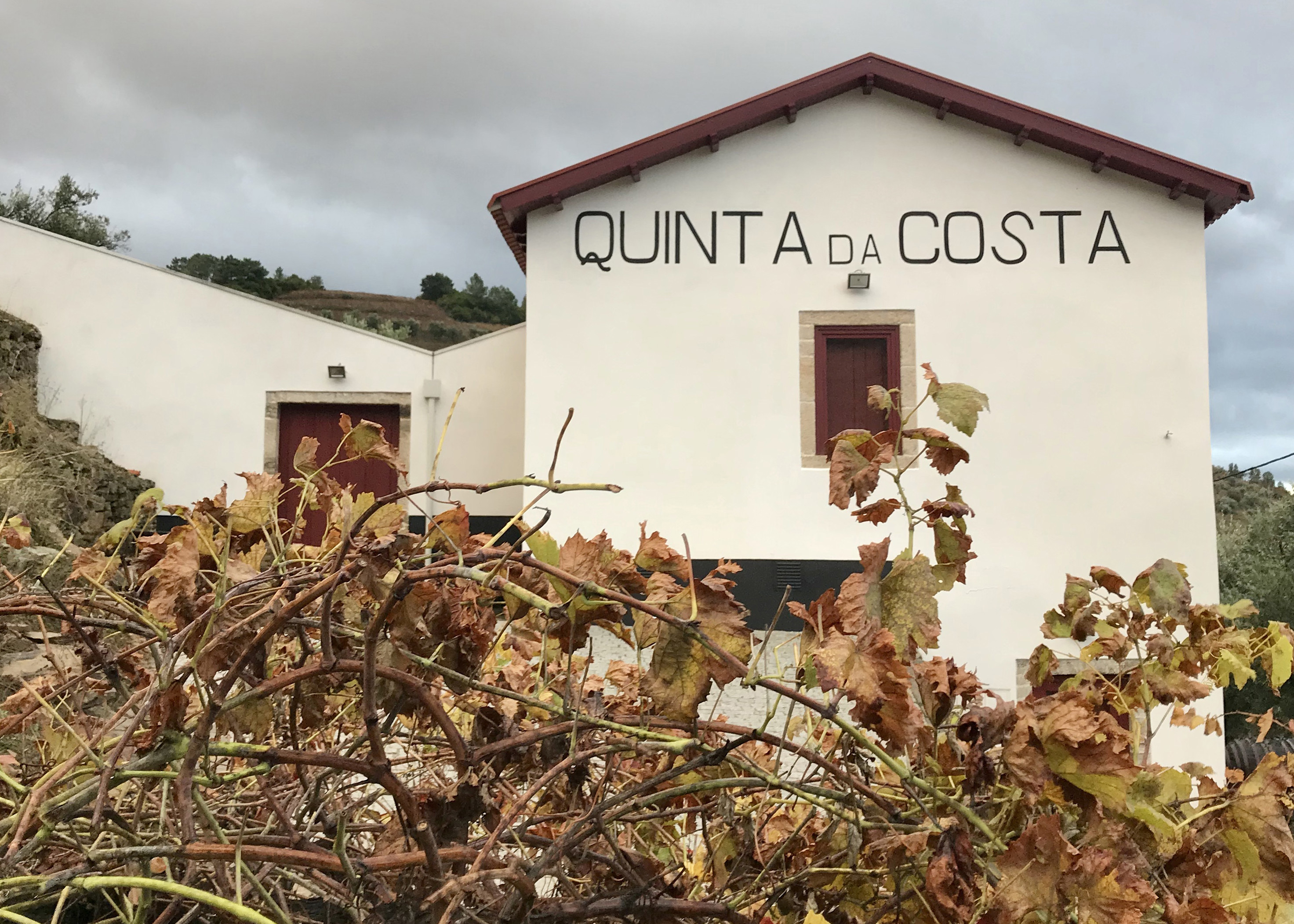 Quinta da Costa do Pinhão