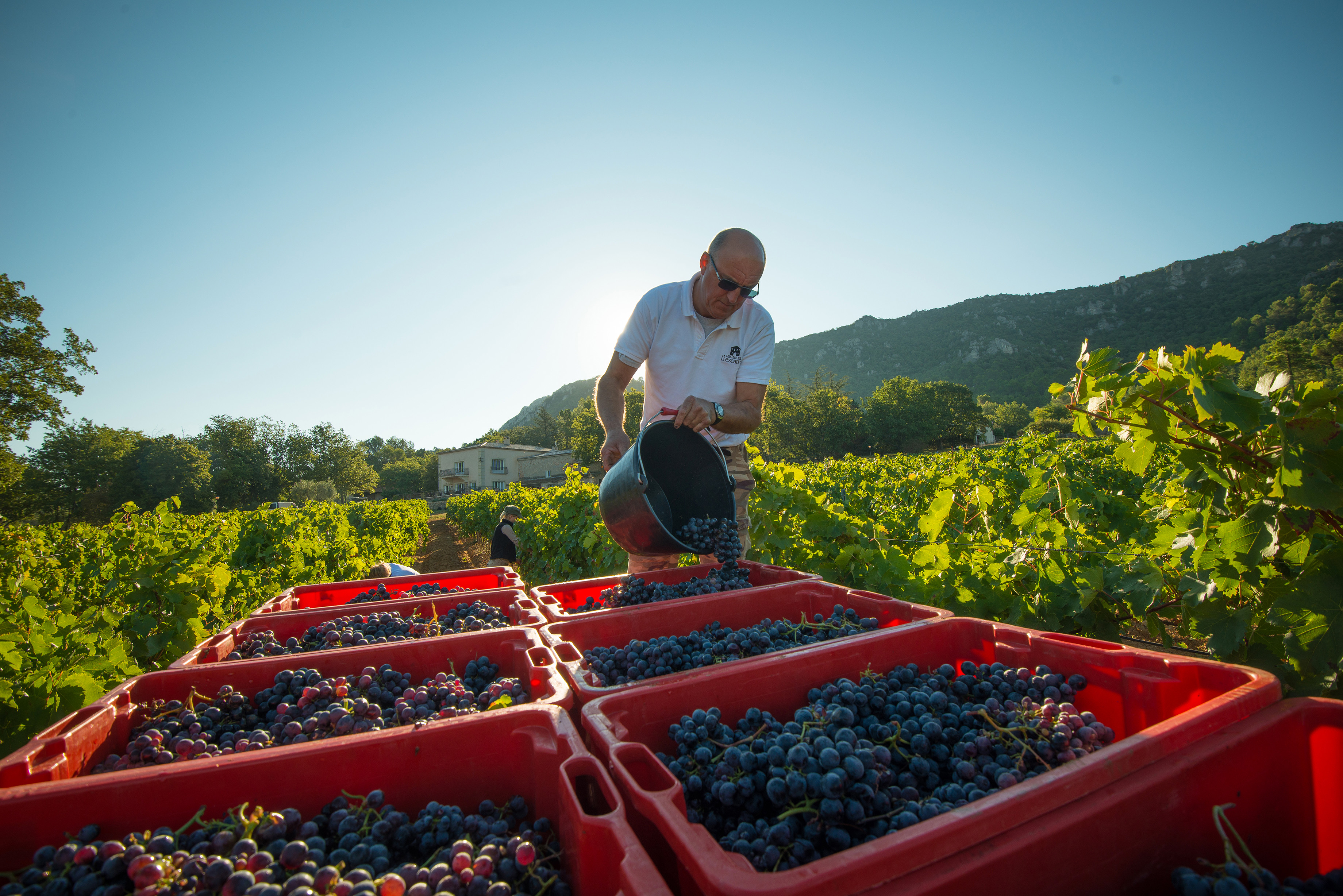 Château L’ Escarelle