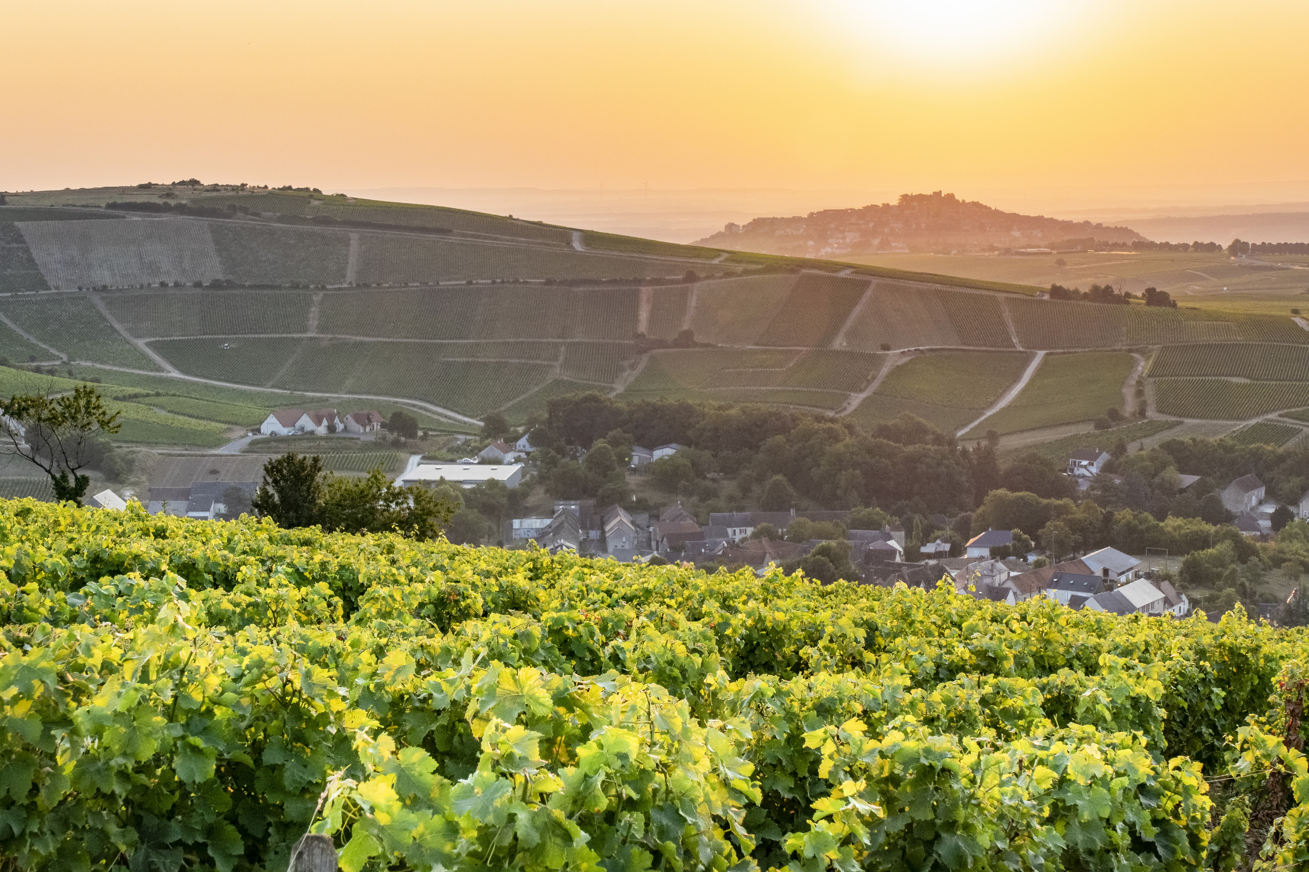 Domaine Jean-Paul Picard