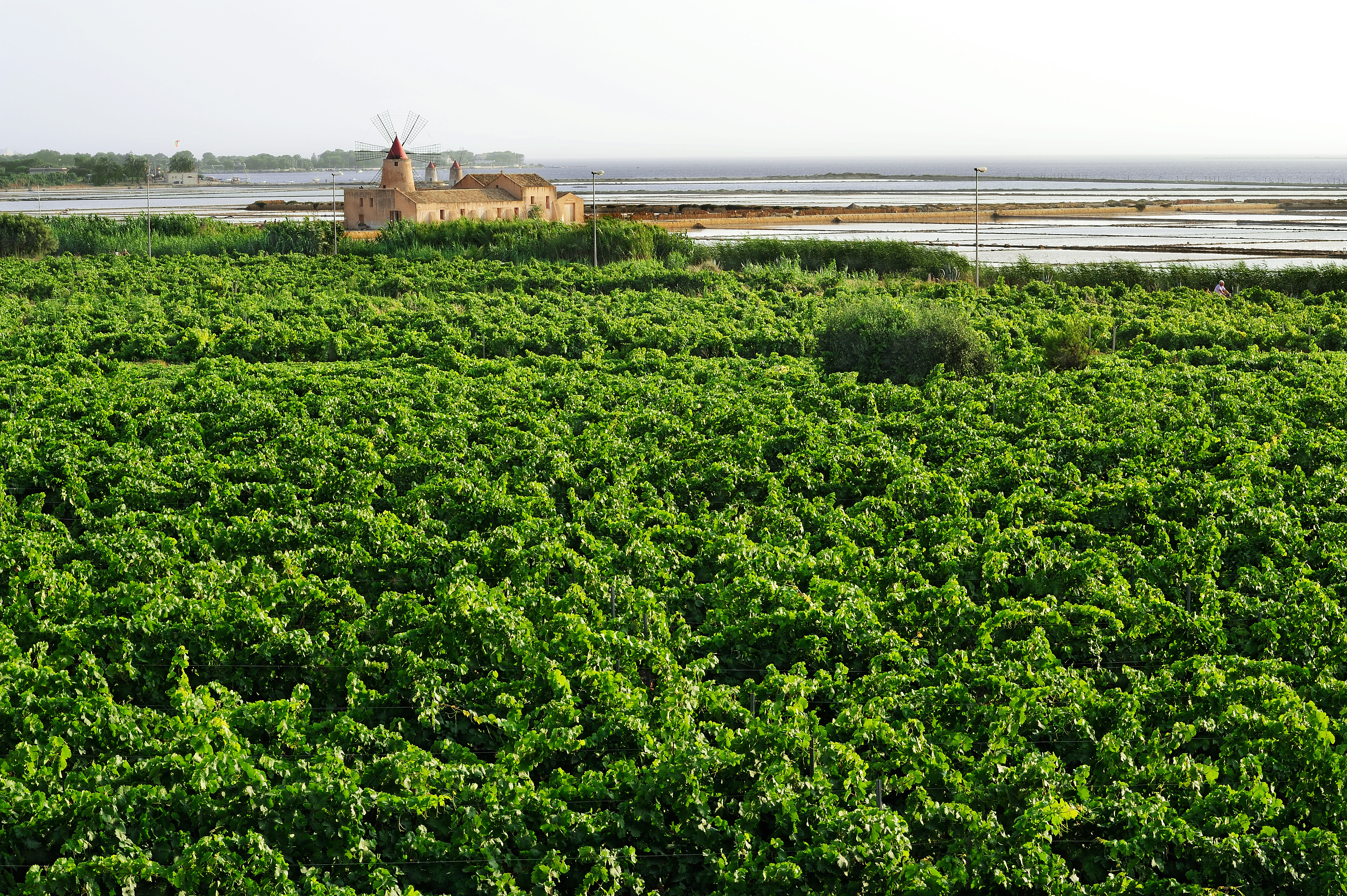 Rallo Azienda Agricola