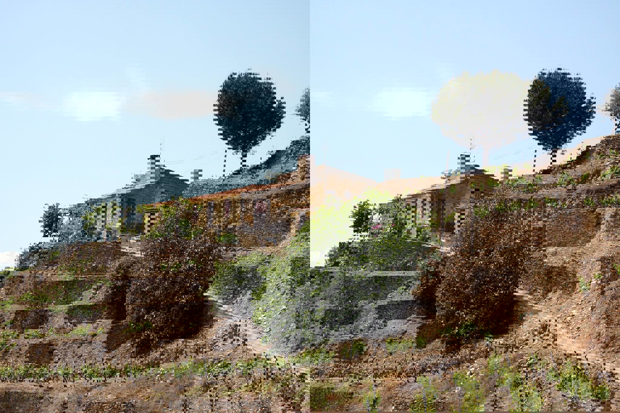 Quinta da Costa do Pinhão